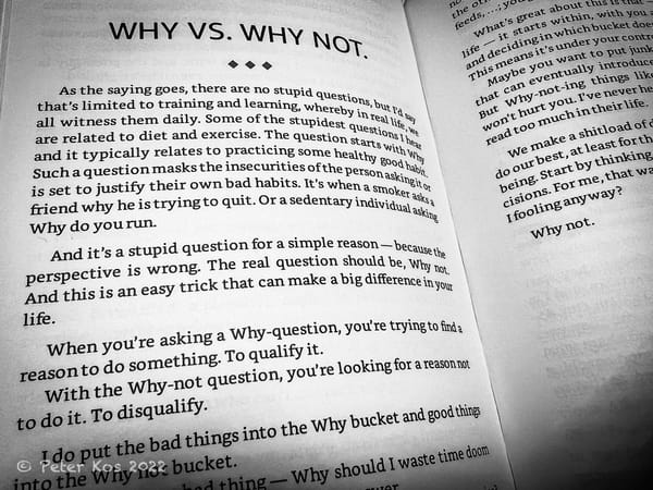 Why vs. Why Not from The Elements of Lifestyle. 